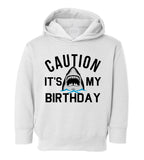 Caution Its My Birthday Shark Toddler Boys Pullover Hoodie White