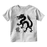 Chinese Bearded Dragon With Symbol Toddler Boys Short Sleeve T-Shirt Grey