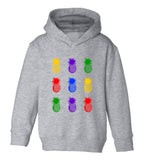 Colorful Pineapples Fruit Toddler Boys Pullover Hoodie Grey