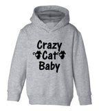 Crazy Cat Baby Toddler Boys Pullover Hoodie Grey
