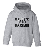 Daddys Little Tax Credit Funny Babyshower Toddler Boys Pullover Hoodie Grey