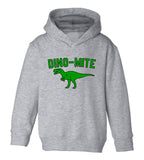 Dino Mite Dinosaur Funny Toddler Boys Pullover Hoodie Grey