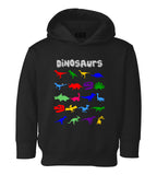 Dinosaurs Colorful Collection Toddler Boys Pullover Hoodie Black