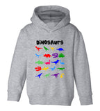Dinosaurs Colorful Collection Toddler Boys Pullover Hoodie Grey