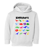 Dinosaurs Colorful Collection Toddler Boys Pullover Hoodie White