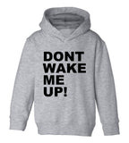 Dont Wake Me Up Toddler Boys Pullover Hoodie Grey