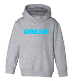 Dream Clouds Toddler Boys Pullover Hoodie Grey