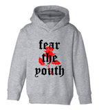 Fear The Youth Rose Toddler Boys Pullover Hoodie Grey
