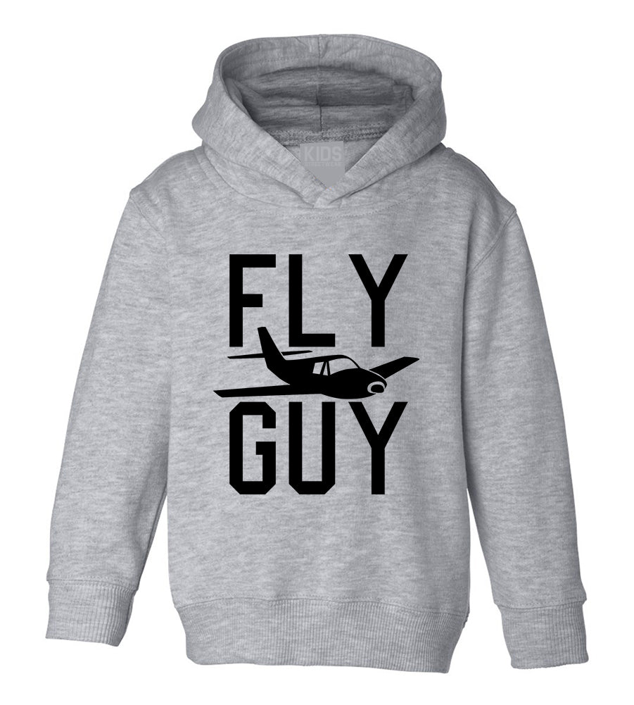 Fly Guy Airplane Toddler Boys Pullover Hoodie Grey