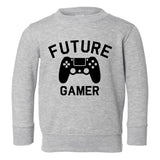 Future Gamer Controller Toddler Boys Crewneck Sweatshirt Grey