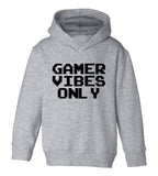 Gamer Vibes Only Toddler Boys Pullover Hoodie Grey