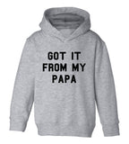 Got It From My Papa Funny Son Toddler Boys Pullover Hoodie Grey