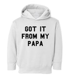 Got It From My Papa Funny Son Toddler Boys Pullover Hoodie White