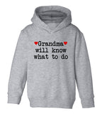 Grandma Will Know What To Do Heart Toddler Boys Pullover Hoodie Grey