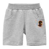 Grey Dinosaur Embroidered Toddler Boys Sweat Shorts