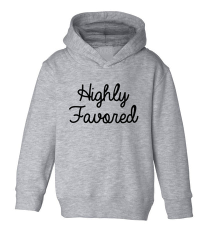 Highly Favored Toddler Boys Pullover Hoodie Grey