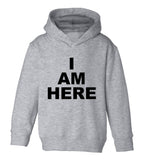 I Am Here Arrival Toddler Boys Pullover Hoodie Grey
