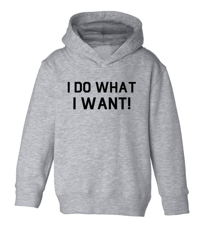 I Do What I Want Toddler Boys Pullover Hoodie Grey