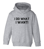 I Do What I Want Toddler Boys Pullover Hoodie Grey