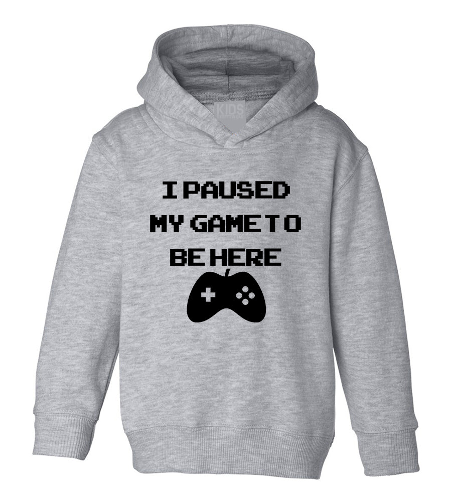 I Paused My Game To Be Here Toddler Boys Pullover Hoodie Grey