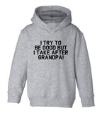 I Take After Grandpa Funny Toddler Boys Pullover Hoodie Grey