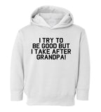 I Take After Grandpa Funny Toddler Boys Pullover Hoodie White
