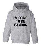 Im Going To Be Famous Toddler Boys Pullover Hoodie Grey
