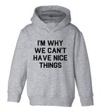 Im Why We Cant Have Nice Things Toddler Boys Pullover Hoodie Grey