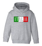 Italia Italy Flag Colors Toddler Boys Pullover Hoodie Grey