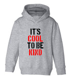 Its Cool To Be Kind Toddler Boys Pullover Hoodie Grey