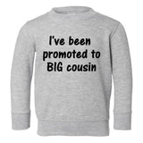 Ive Been Promoted To Big Cousin Toddler Boys Crewneck Sweatshirt Grey