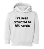 Ive Been Promoted To Big Cousin Toddler Boys Pullover Hoodie White