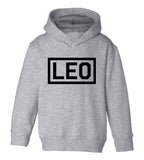 Leo Horoscope Sign Toddler Boys Pullover Hoodie Grey