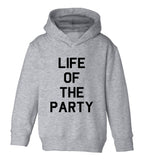 Life Of The Party Birthday Toddler Boys Pullover Hoodie Grey