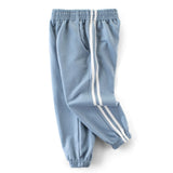 Light Blue Classic Double Striped Toddler Boys Casual Pants