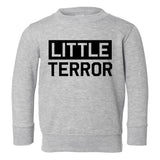 Little Terror Toddler Boys Crewneck Sweatshirt Grey