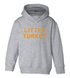 Little Turkey Thanksgiving Toddler Boys Pullover Hoodie Grey