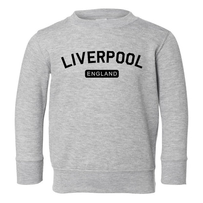 Liverpool England Arch Toddler Boys Crewneck Sweatshirt Grey