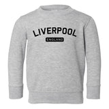 Liverpool England Arch Toddler Boys Crewneck Sweatshirt Grey