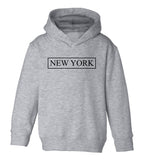 New York Box Logo Toddler Boys Pullover Hoodie Grey