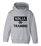 Ninja In Training Toddler Boys Pullover Hoodie Grey
