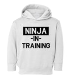 Ninja In Training Toddler Boys Pullover Hoodie White