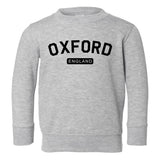 Oxford England Arch Toddler Boys Crewneck Sweatshirt Grey