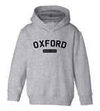 Oxford England Arch Toddler Boys Pullover Hoodie Grey