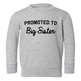 Promoted To Big Sister Toddler Girls Crewneck Sweatshirt Grey