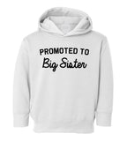 Promoted To Big Sister Toddler Girls Pullover Hoodie White