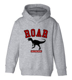 Roar Dinosaur College Toddler Boys Pullover Hoodie Grey