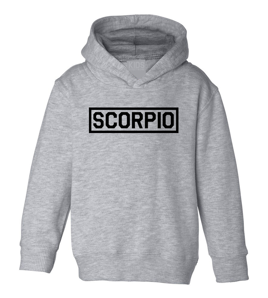 Scorpio Horoscope Sign Toddler Boys Pullover Hoodie Grey