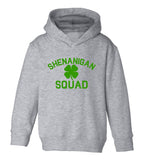 Shenanigan Squad St Patricks Day Green Toddler Boys Pullover Hoodie Grey