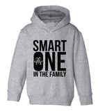 Smart One In The Family Toddler Boys Pullover Hoodie Grey